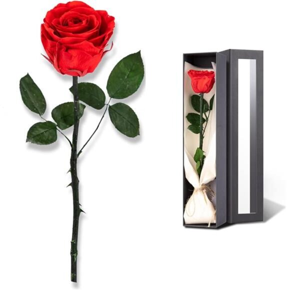 Flowers for Delivery Prime, Preserved Roses Flower Gifts for Women, Real Roses - Picture 1 of 7